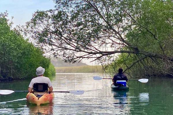 Kayak y SUP en los manglares