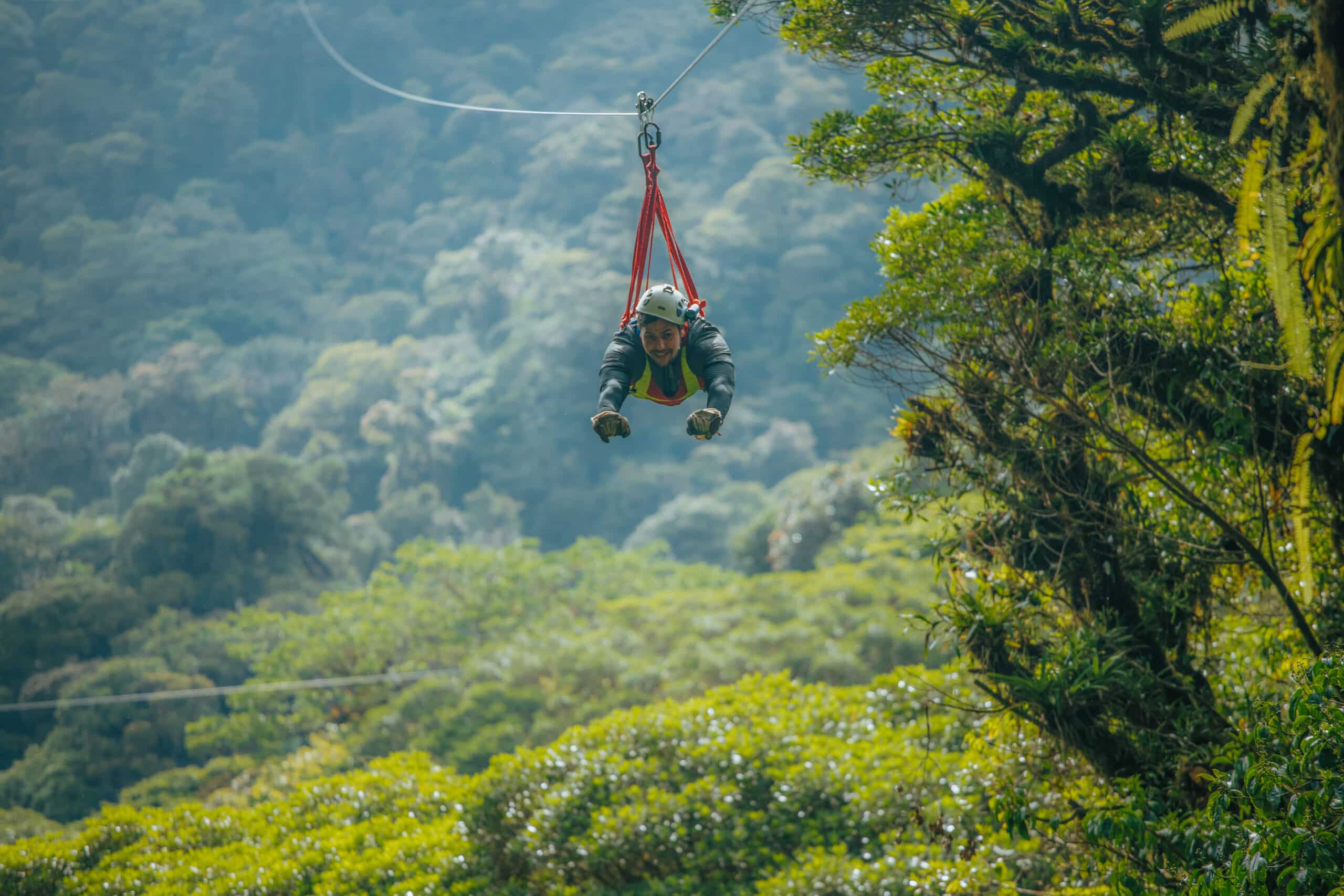 Tirolina èpica + jardí de papallones