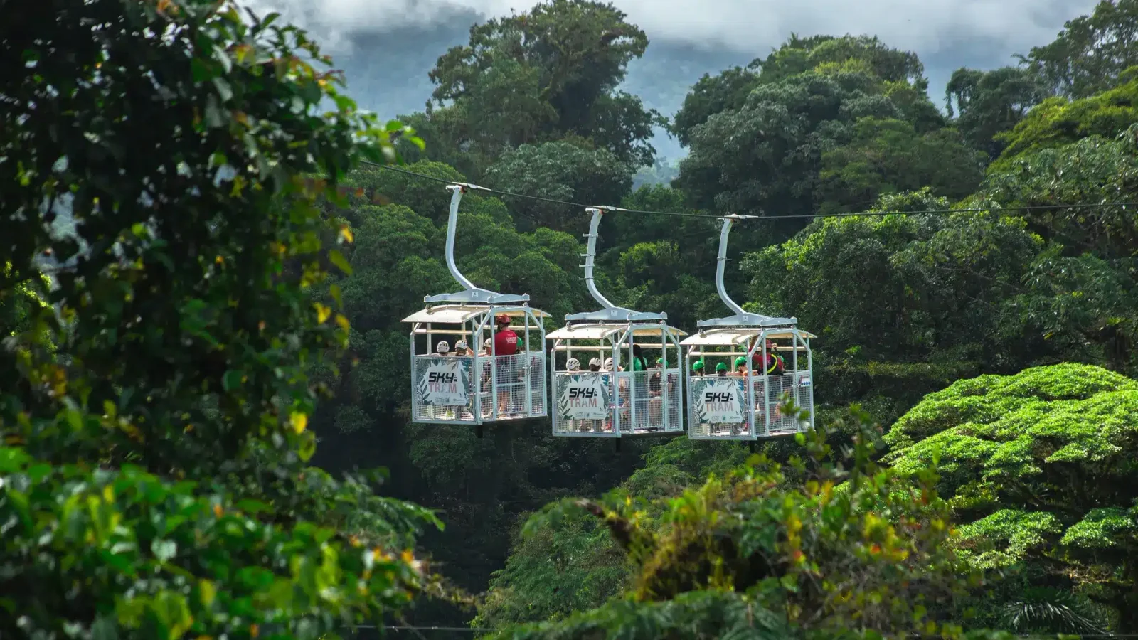Tour combinado en Monteverde: Sky Walk & Sky Tram
