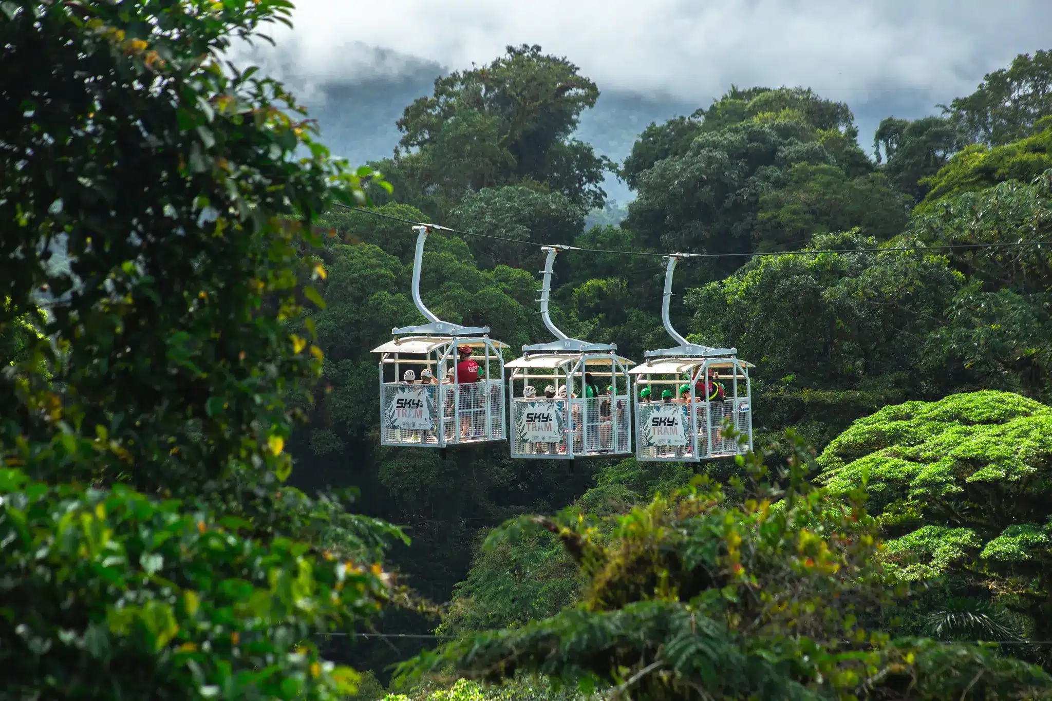 Tour combinado en Monteverde: Sky Walk & Sky Tram