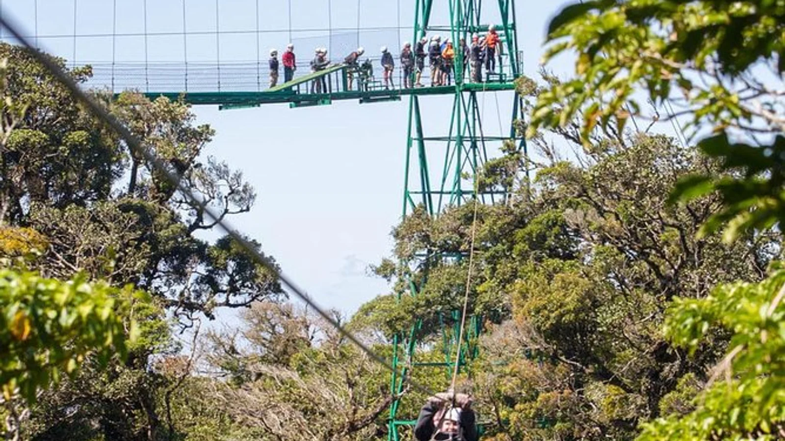 Visitors on an elevated green metal sky bridge above a forest canopy, with a person climbing a ladder tower
