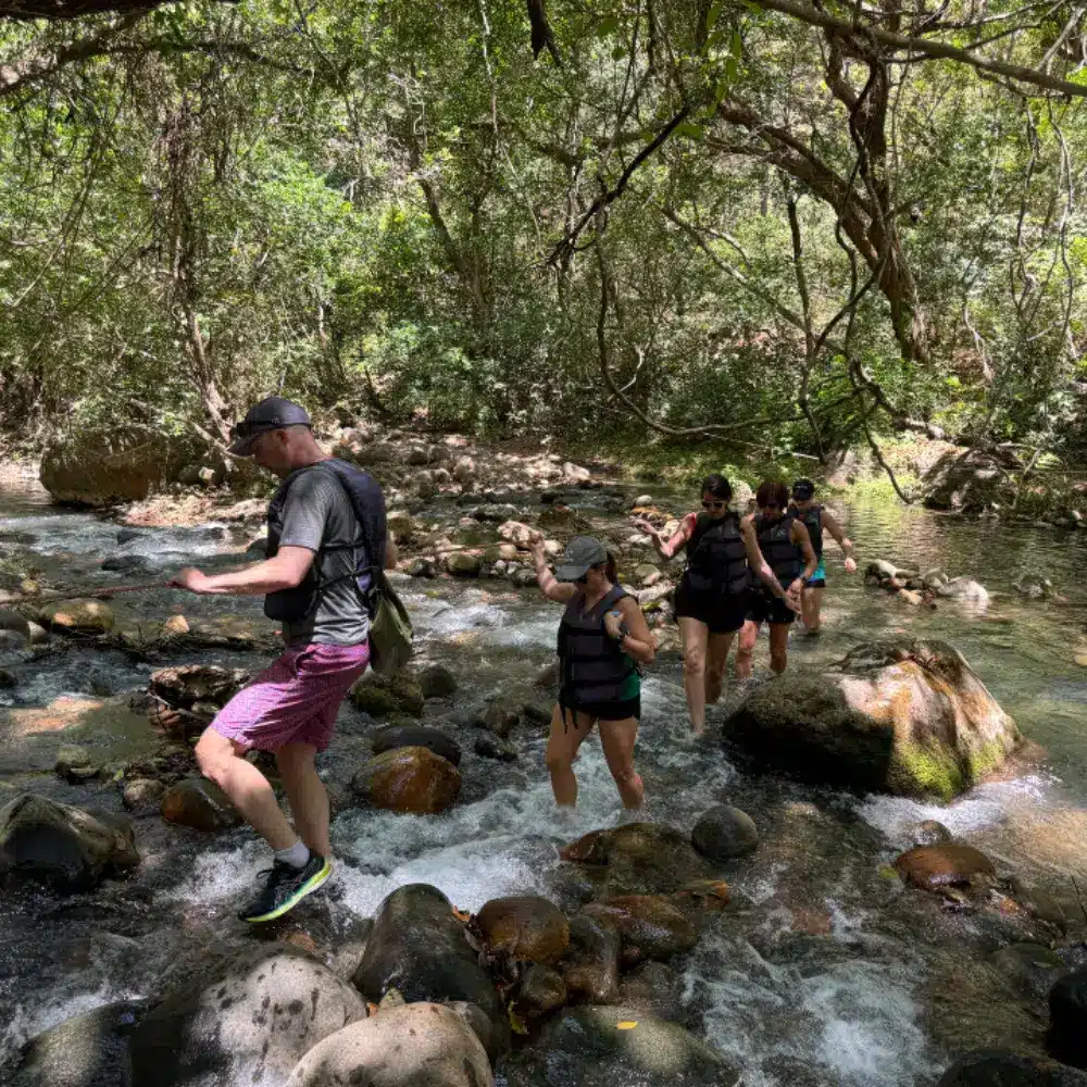 Tour a la cascada La Leona: caminata guiada de aventura