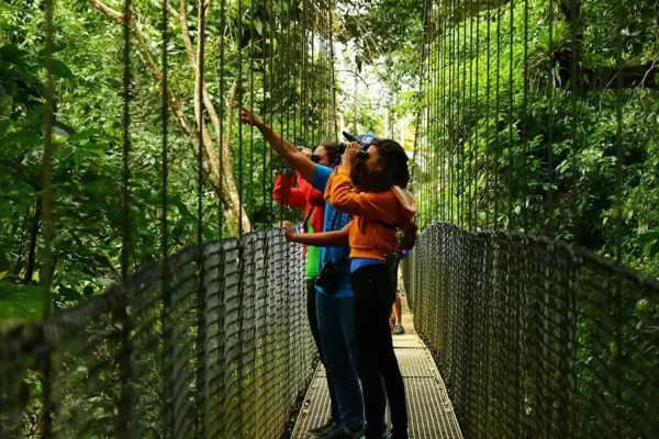 Tour combinado Arenal 4 en 1 | Puentes, catarata y aguas termales