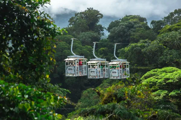 Tour combinado en Monteverde: Sky Adventures 3 en 1