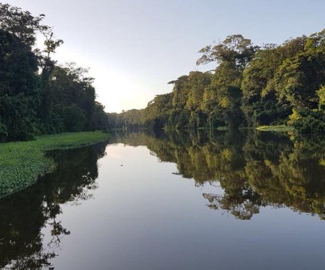 Excursió d'un dia a Tortuguero: aventura èpica pel parc des de San José