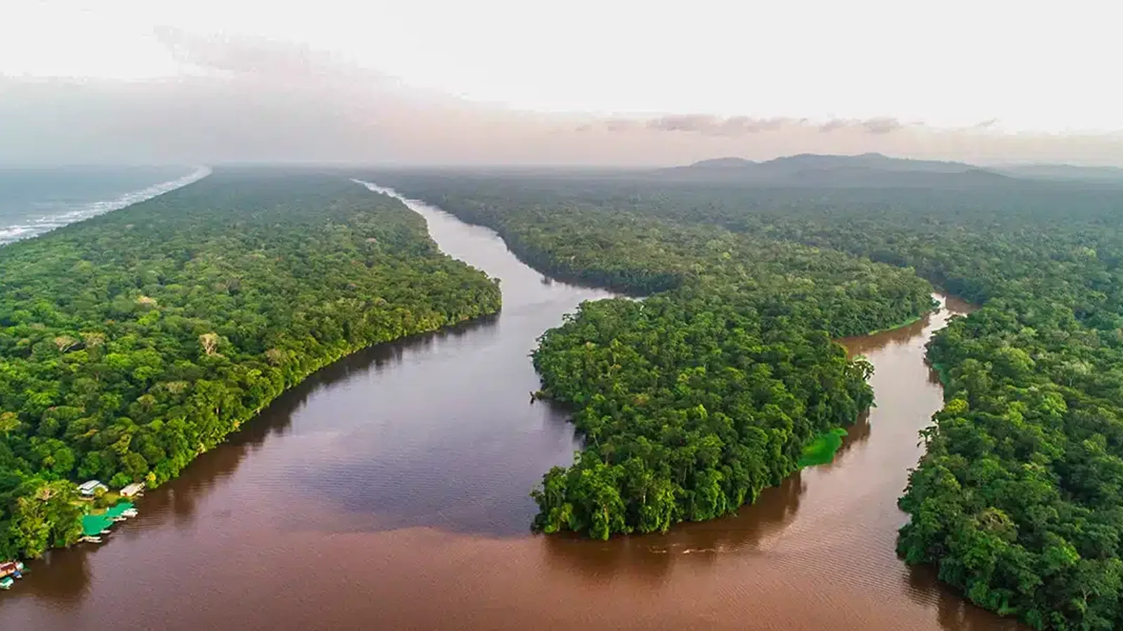 Aerial view of a winding river cutting through dense rainforest near the coast in Tortuguero