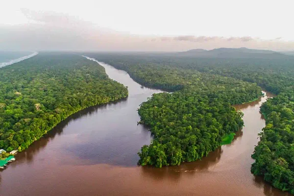 Aerial view of a winding river cutting through dense rainforest near the coast in Tortuguero