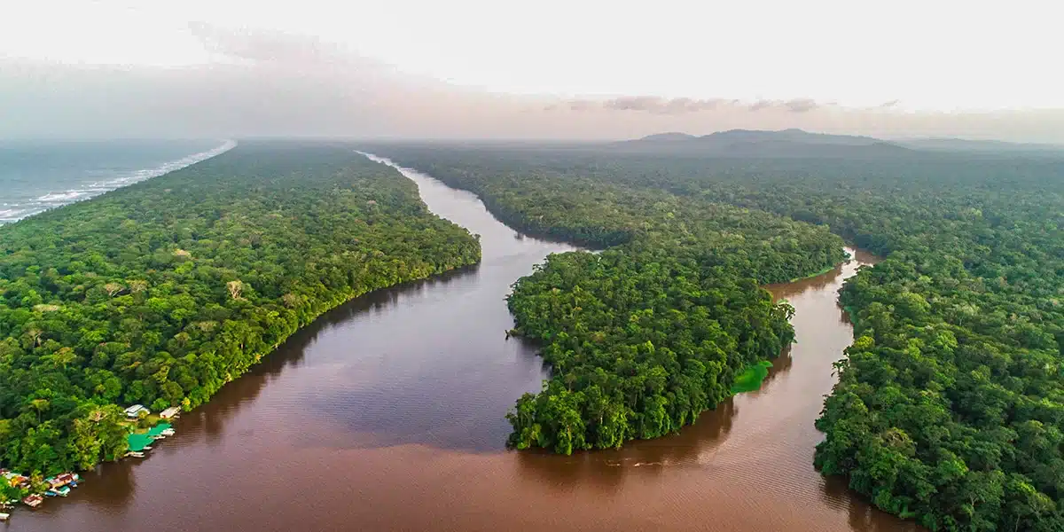 Excursió d'un dia a Tortuguero: aventura èpica pel parc des de San José