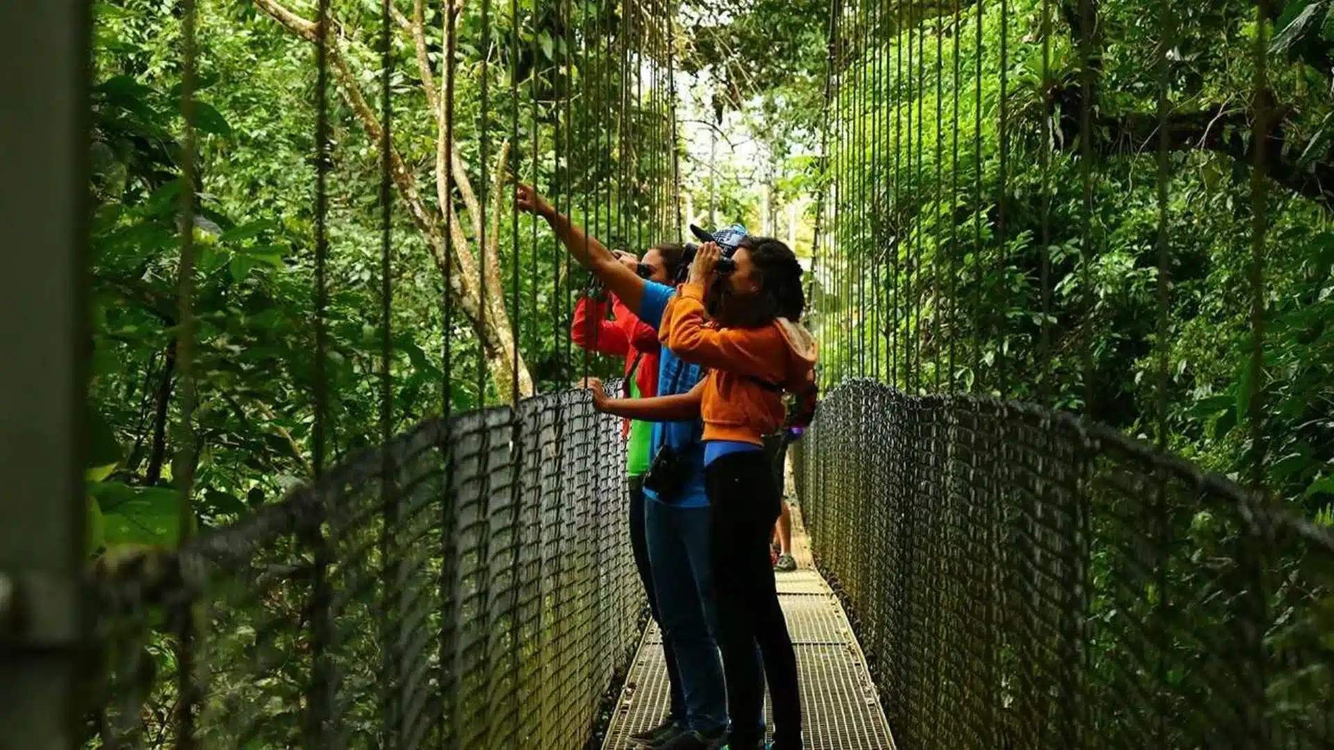 Excursió combinada Arenal 4 en 1 | Ponts, cascada i aigües termals