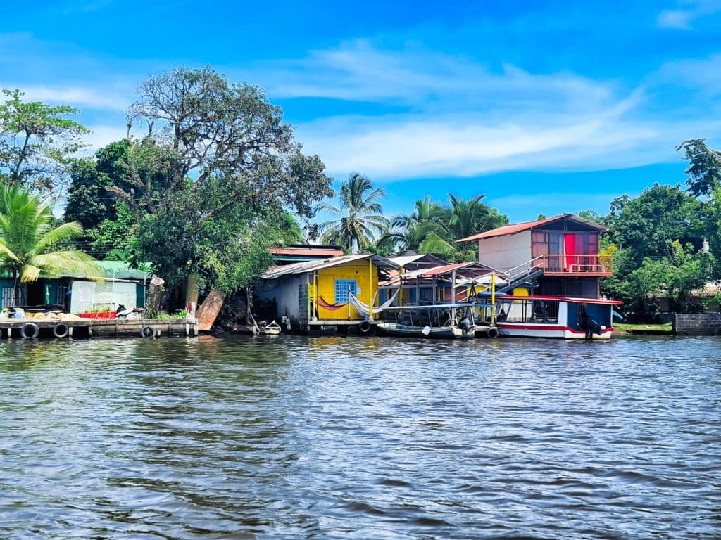 Excursió d'un dia a Tortuguero: aventura èpica pel parc des de San José