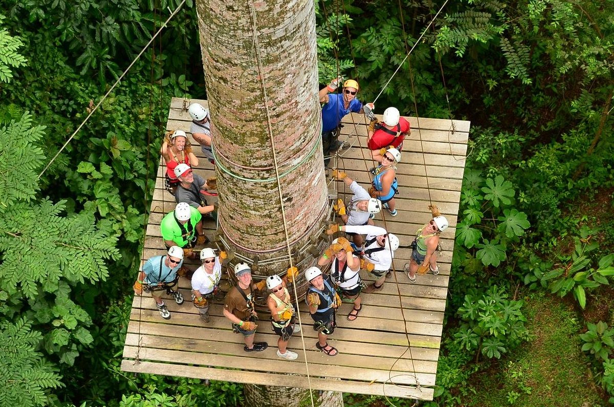 Excursió en tirolina pel canopy