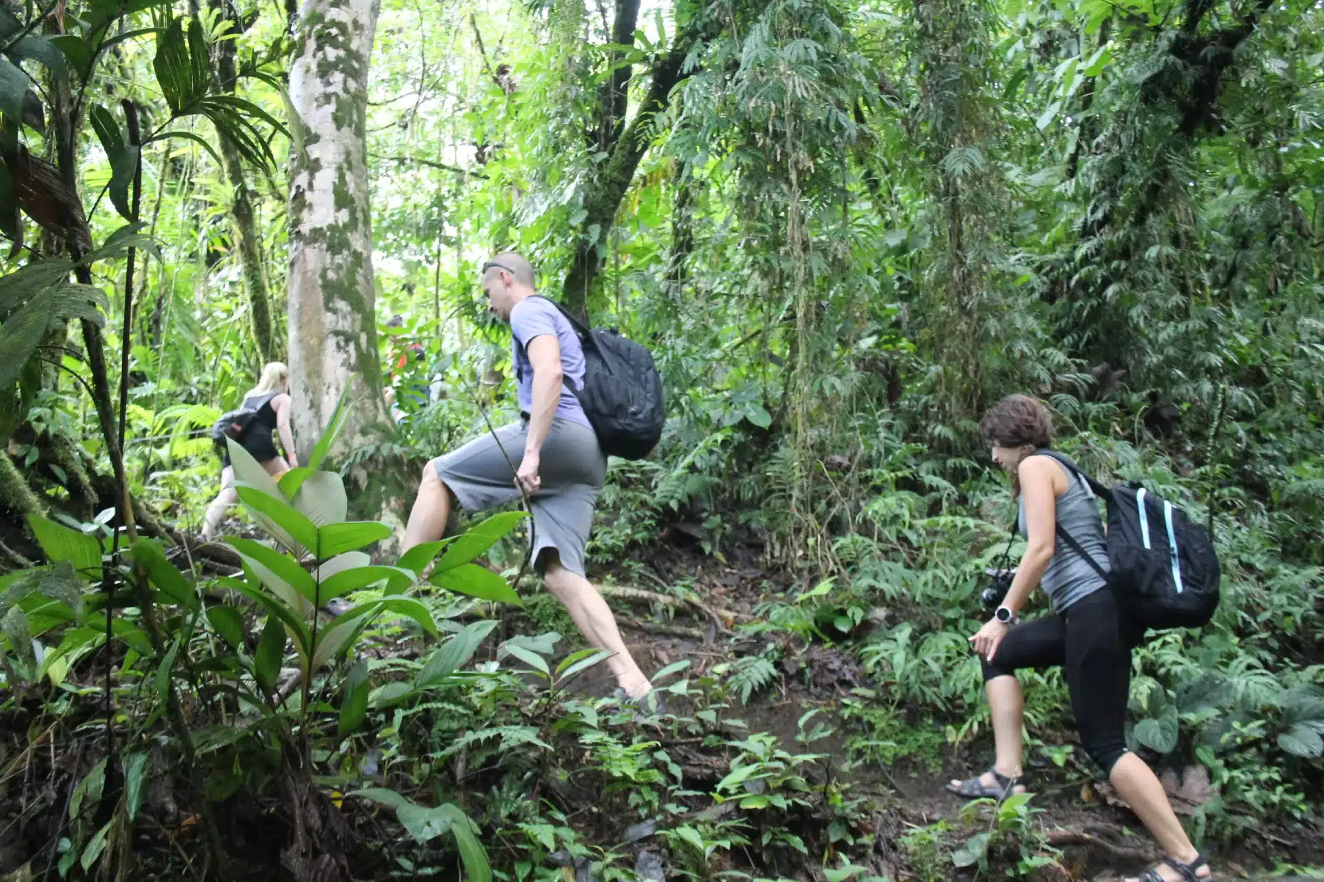 Caminata guiada por el volcán Arenal
