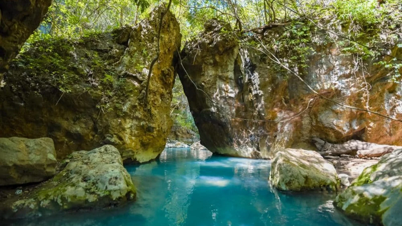 Turquoise river pool flows through a narrow rock canyon shaded by lush green trees