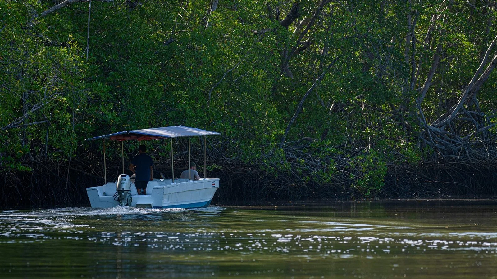 Excursió en barca per l'estuari de Tamarindo