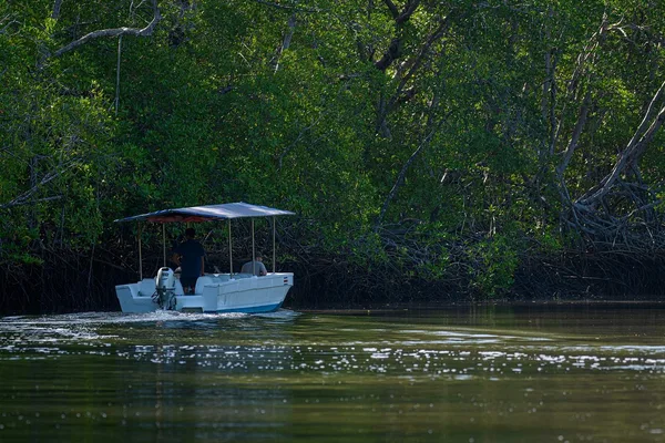 Excursió en barca per l'estuari de Tamarindo