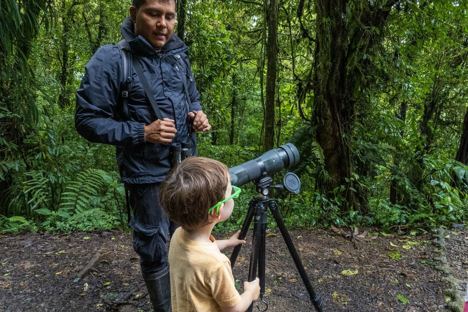 Excursió guiada pel bosc nebulós de Monteverde