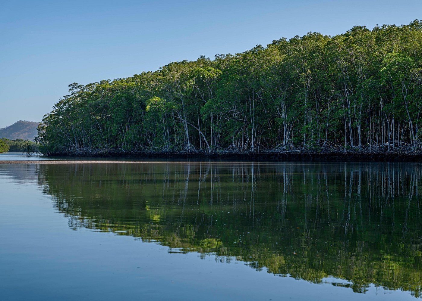 Excursió en barca per l'estuari de Tamarindo