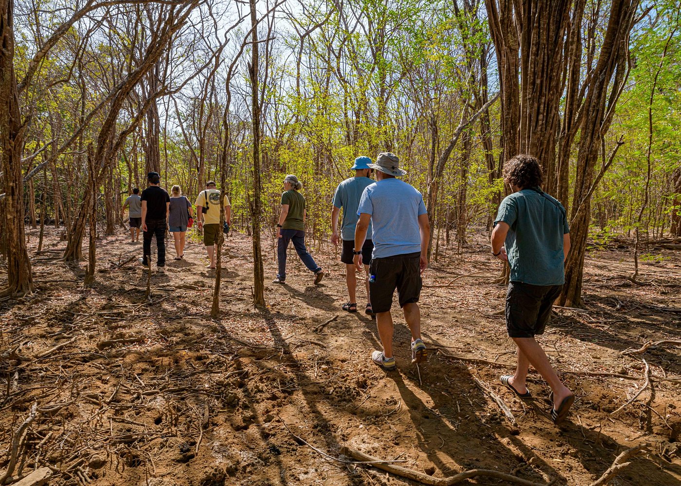Excursió en barca per l'estuari de Tamarindo
