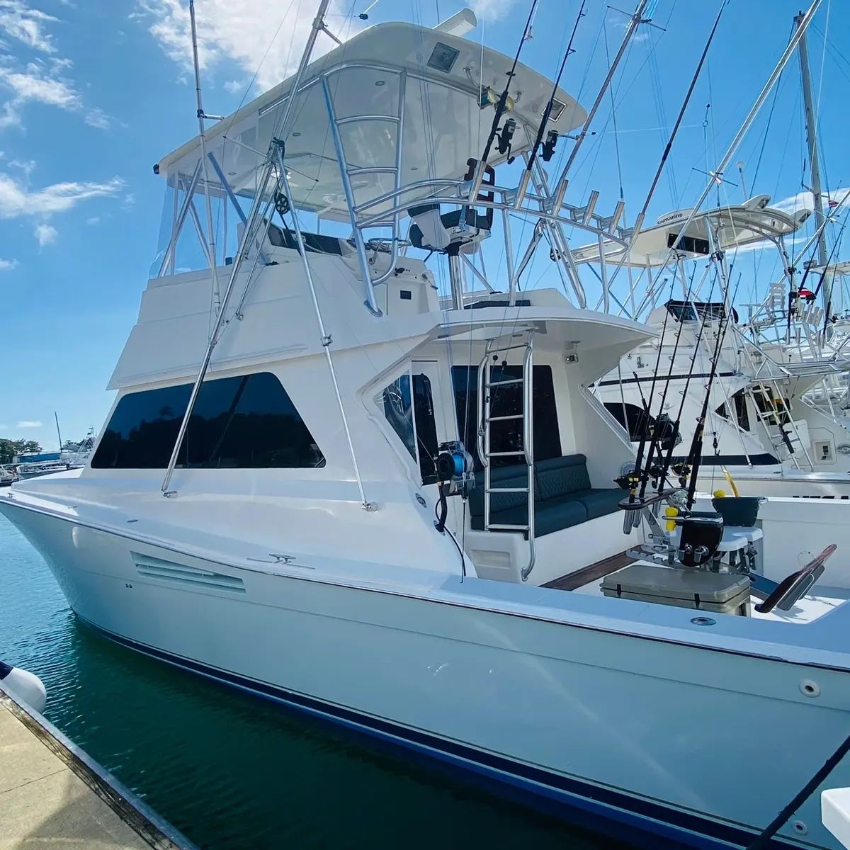 Top Notch - 45ft Viking
