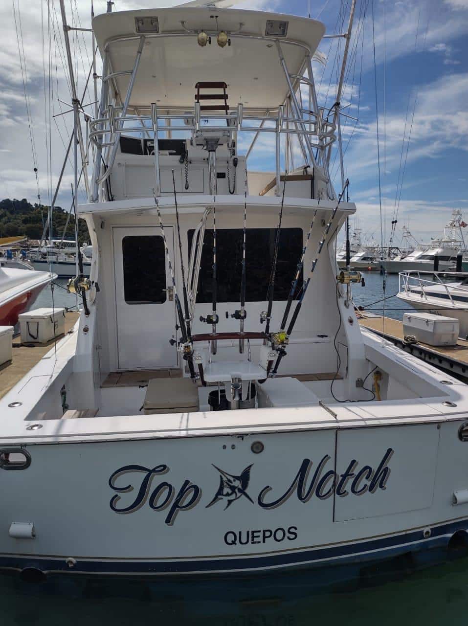 Top Notch - 45ft Viking