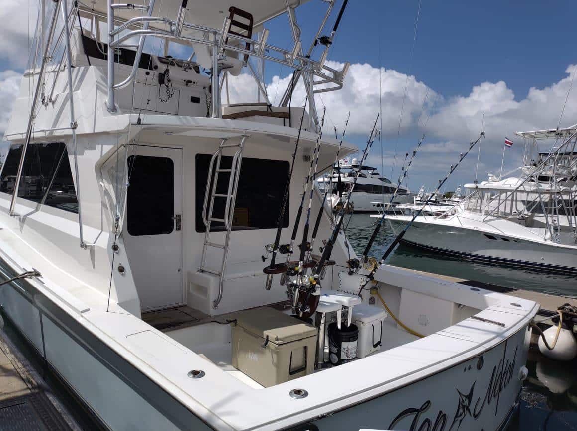 Top Notch - 45ft Viking