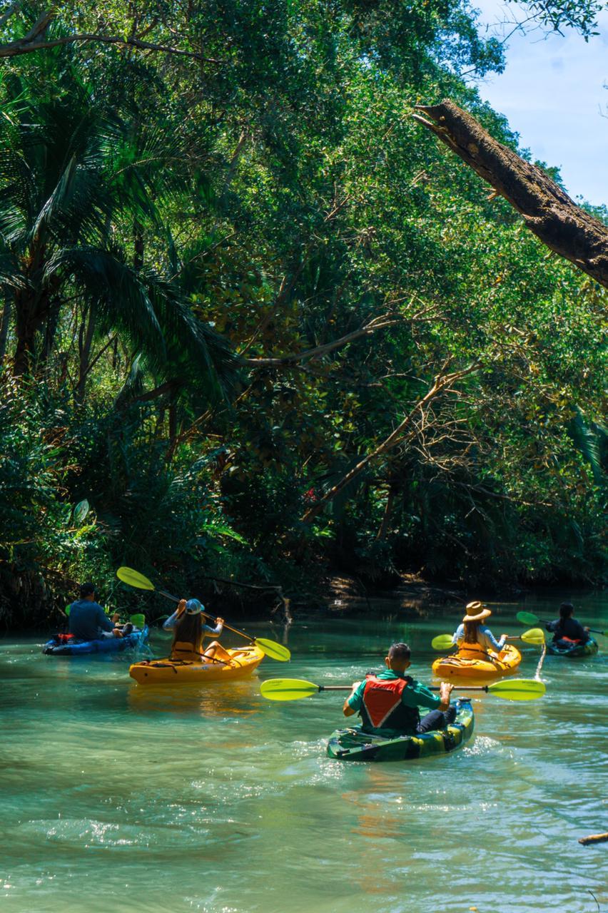 Pura Vida Experience – 14 días
