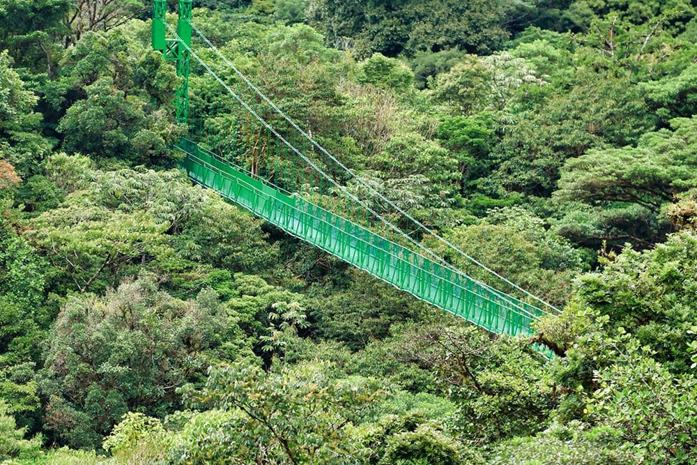 Ànima de Costa Rica - 11 dies