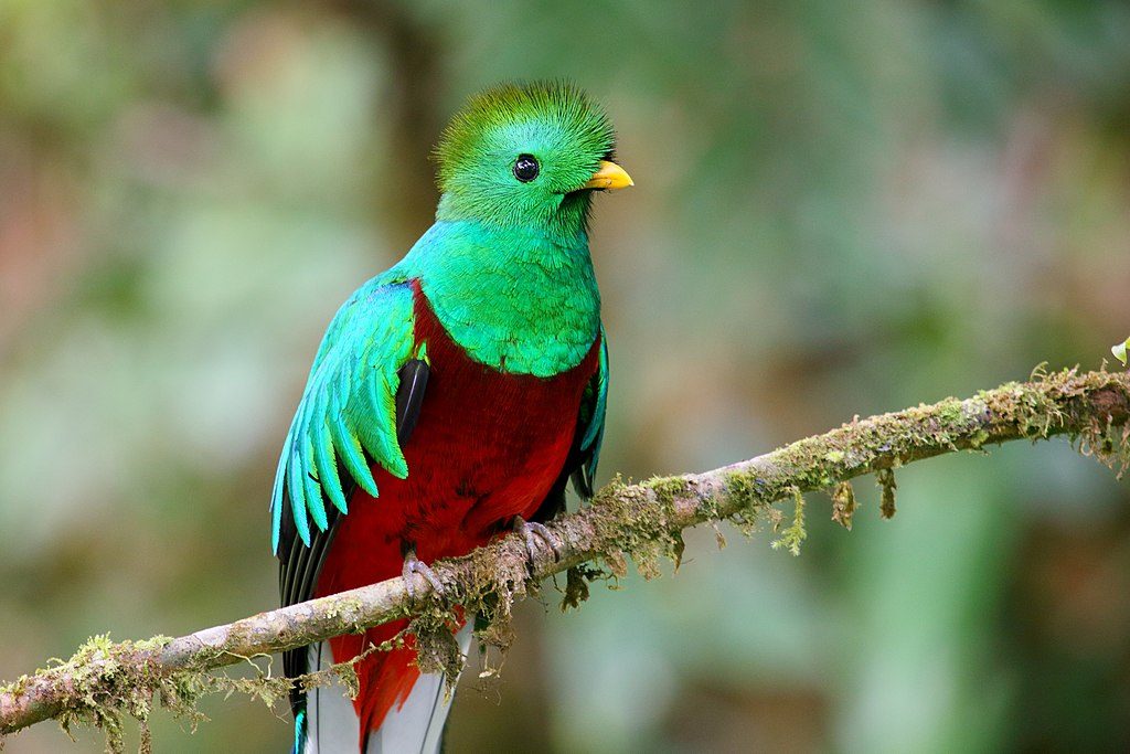 Aventura de naturaleza pura – 7 días