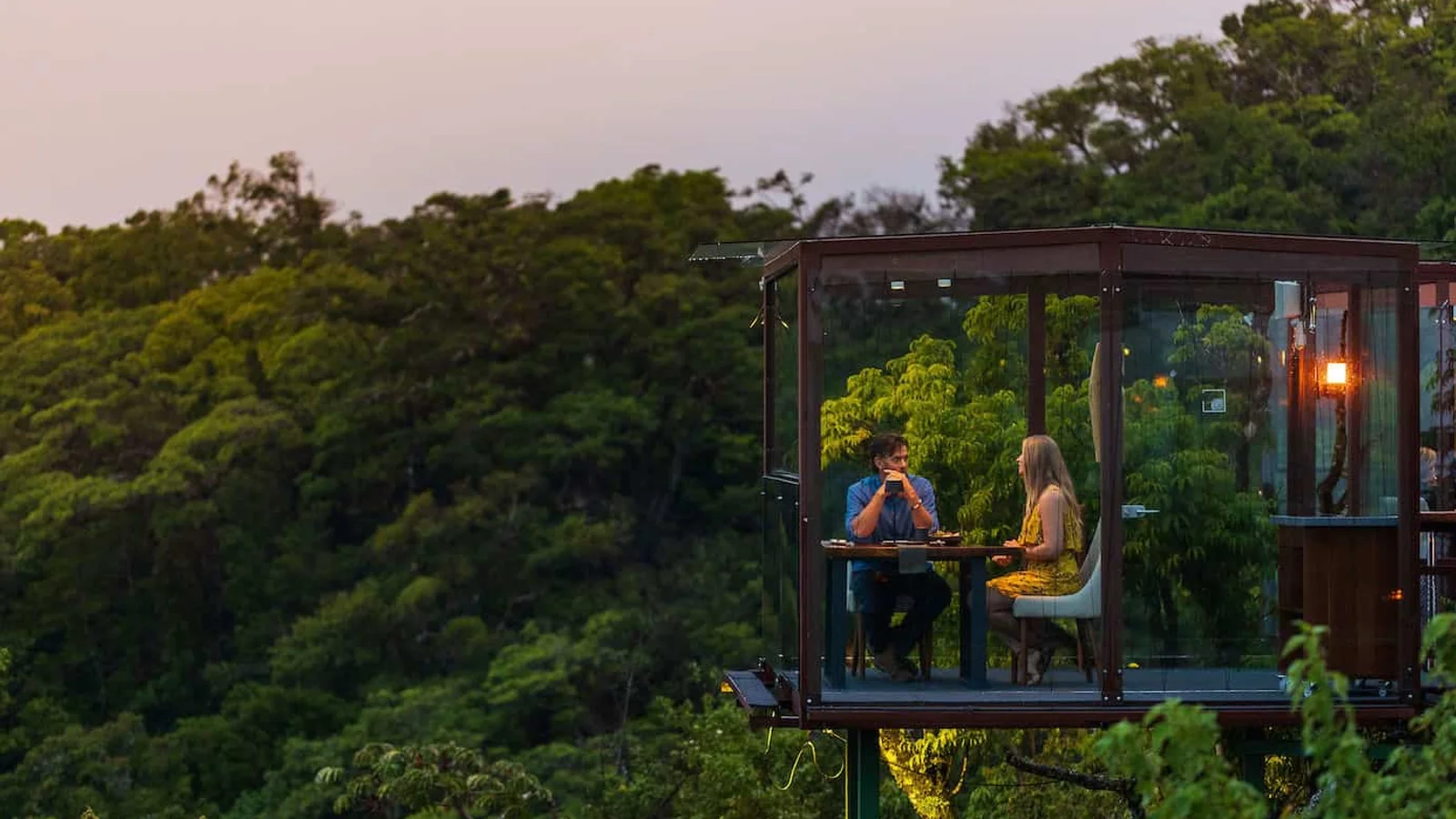 Experiencia San Lucas Treetop Dining | Cena de 9 tiempos