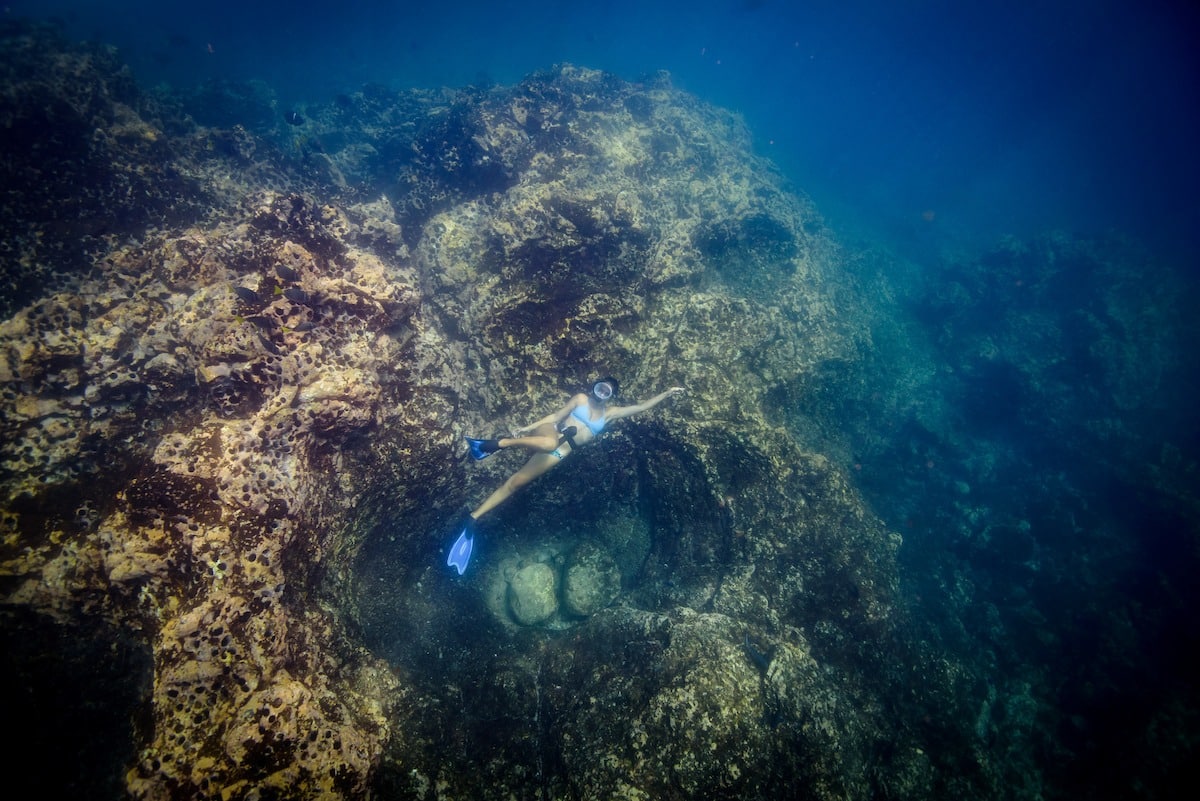 Snorkel en isla Catalina