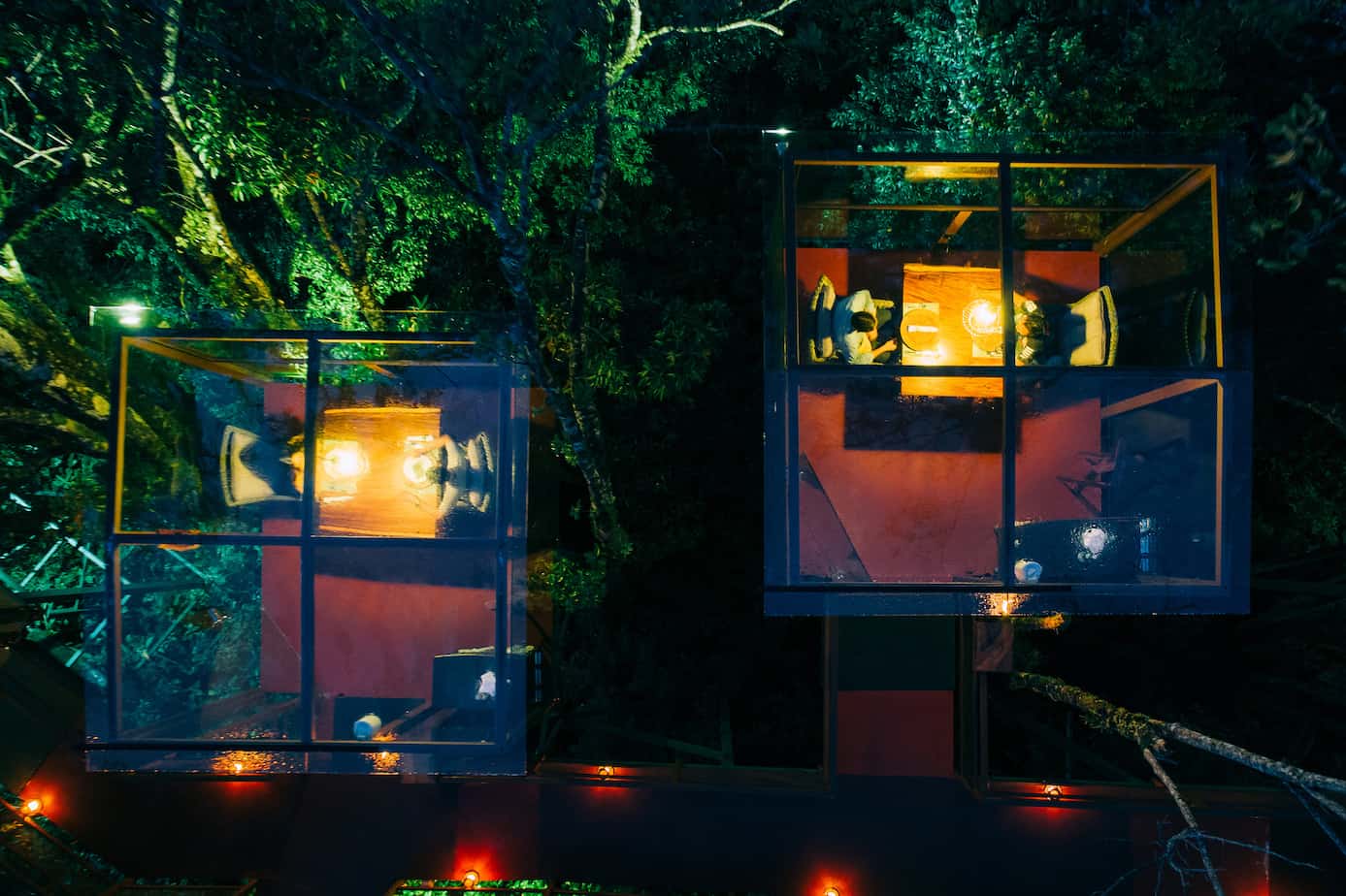 Experiència San Lucas Treetop Dining | Sopar de 9 plats