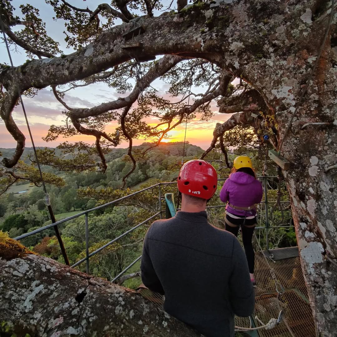 Aventura d'escalada a la copa dels arbres
