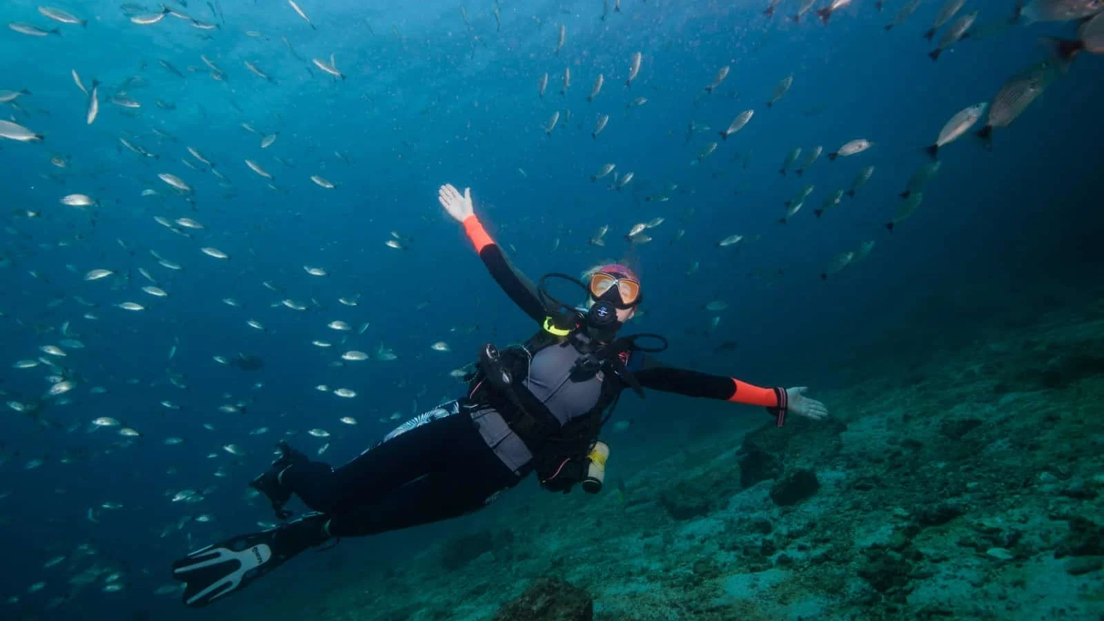 Submarinisme a les illes Catalina