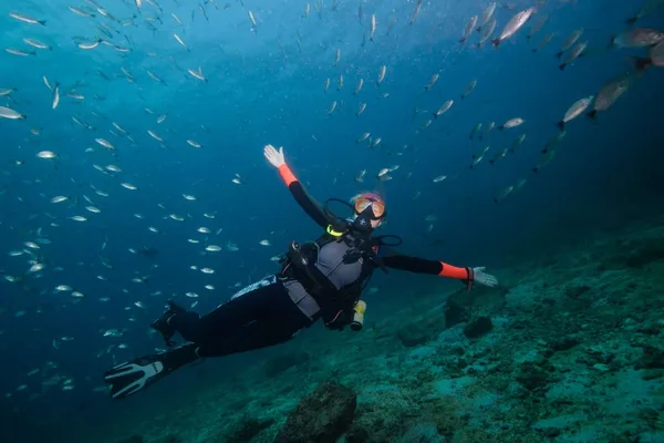 Submarinisme a les illes Catalina