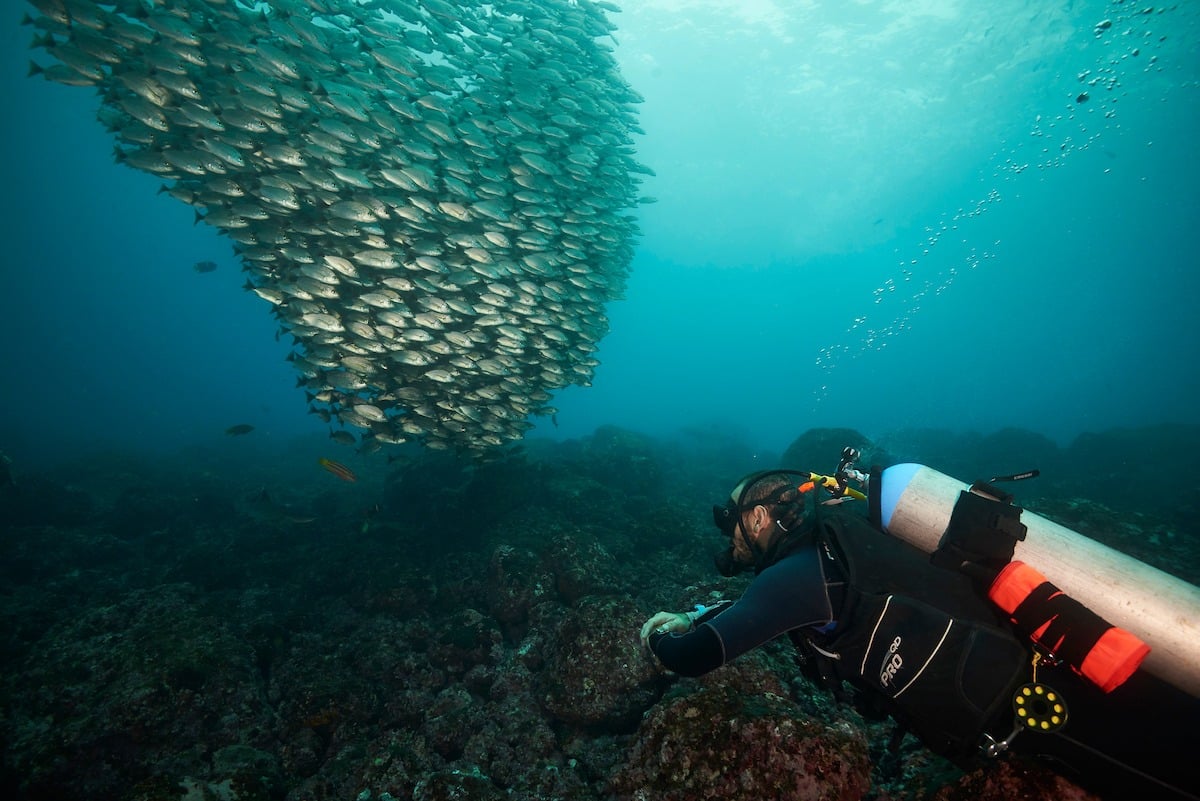 Submarinisme a les illes Catalina