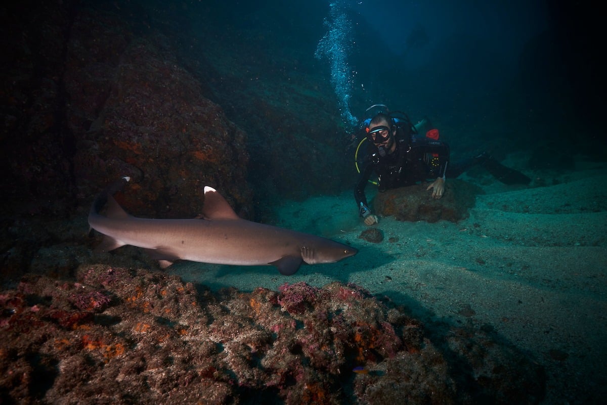 Submarinisme a les illes Catalina