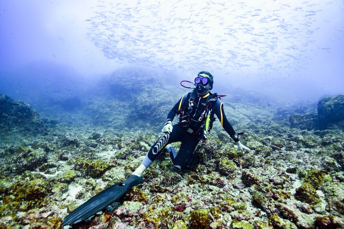 Submarinisme a les illes Catalina
