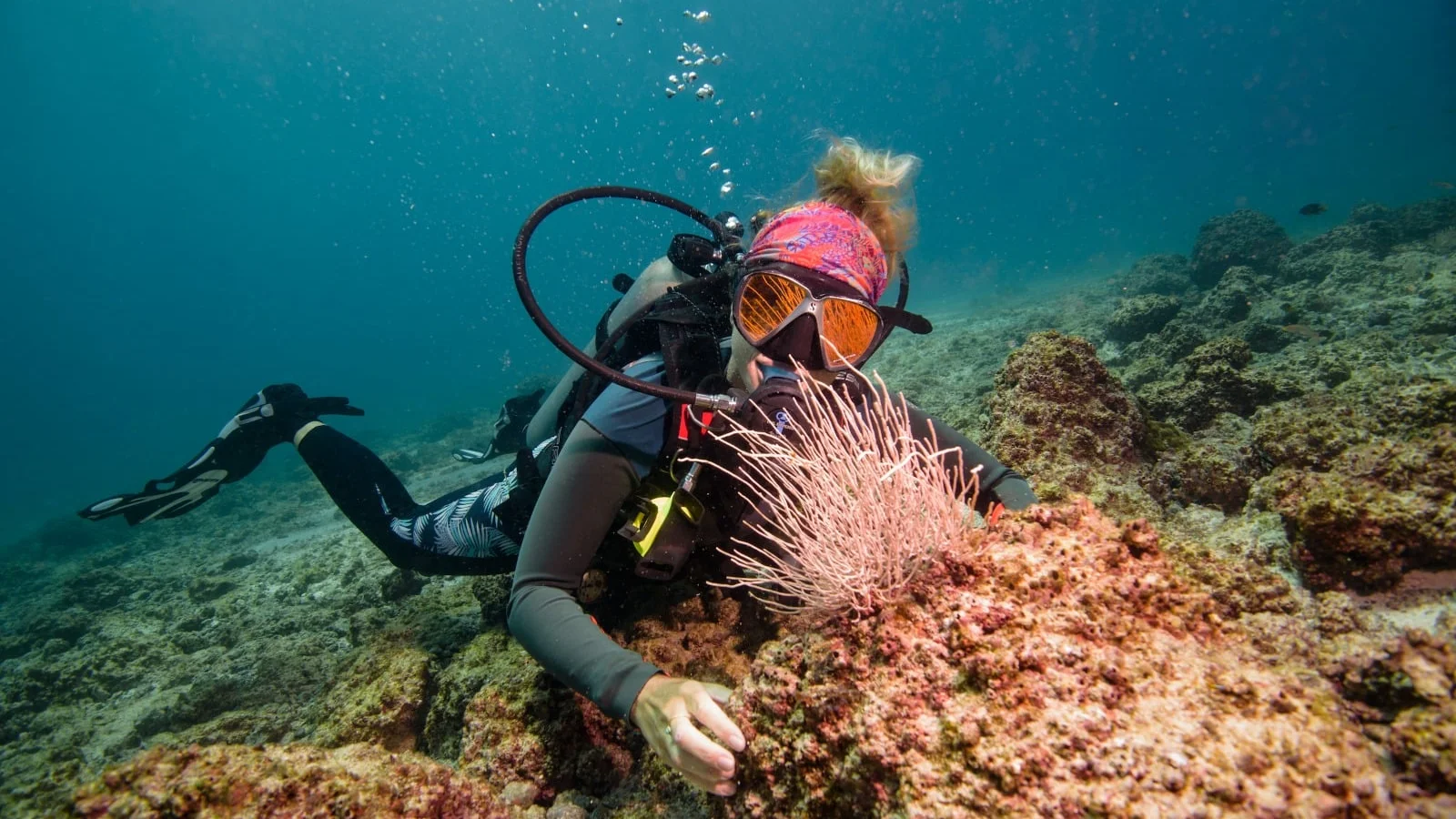 Submarinisme d'un dia complet a Islas Murciélago