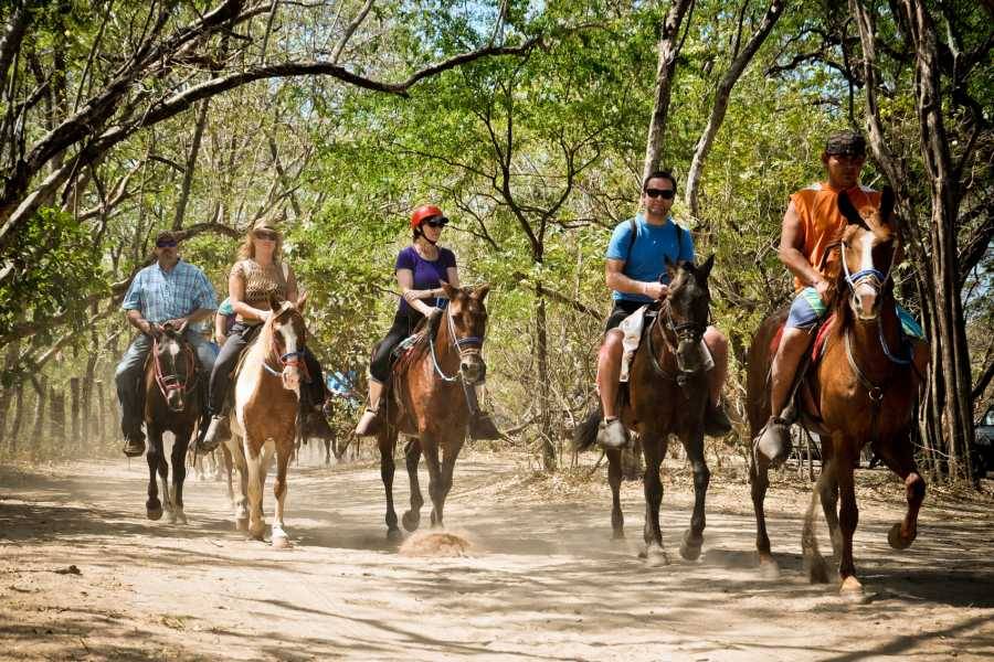 Excursió a cavall per Guanacaste