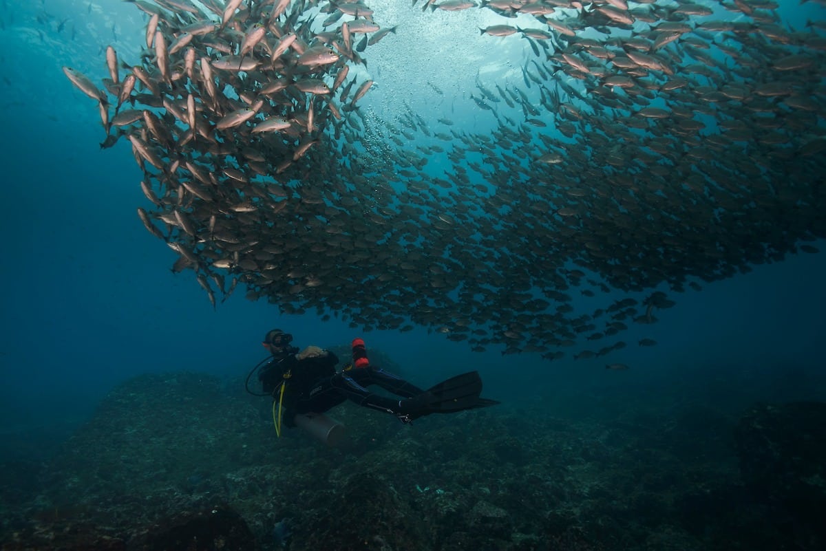 Submarinisme d'un dia complet a Islas Murciélago