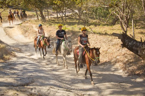 Excursió a cavall per Guanacaste