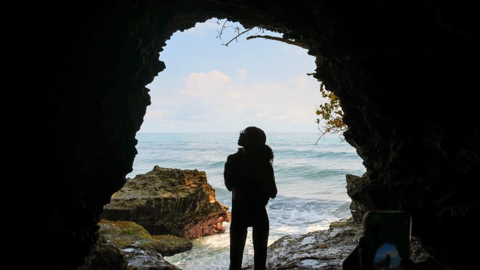 Experiencia profunda en el Refugio de Vida Silvestre de Manzanillo