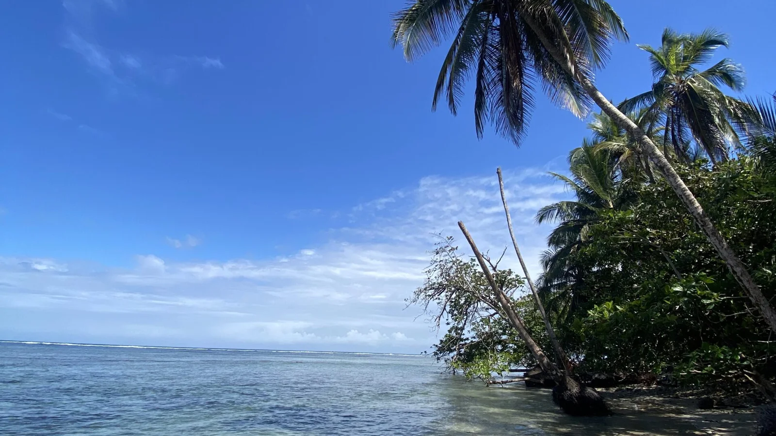 Shared Shuttle: Arenal / La Fortuna to Cahuita