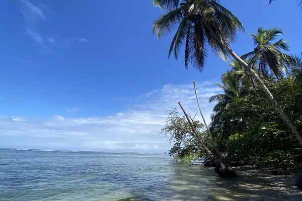 Transporte compartido de San José a Cahuita