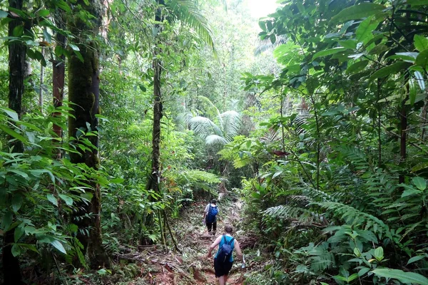 Expedición por la selva de Punta Mona hasta la finca ecológica abandonada