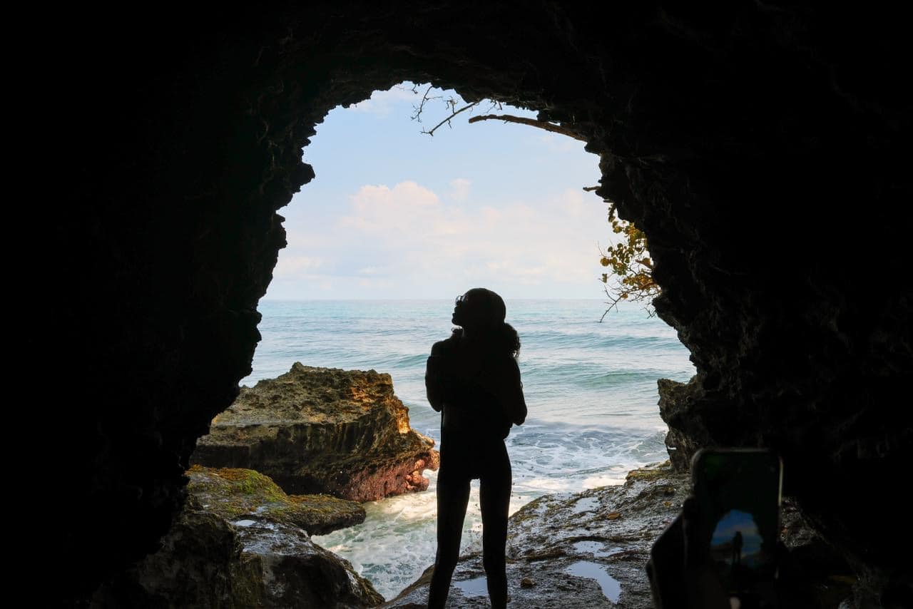 Experiencia profunda en el Refugio de Vida Silvestre de Manzanillo