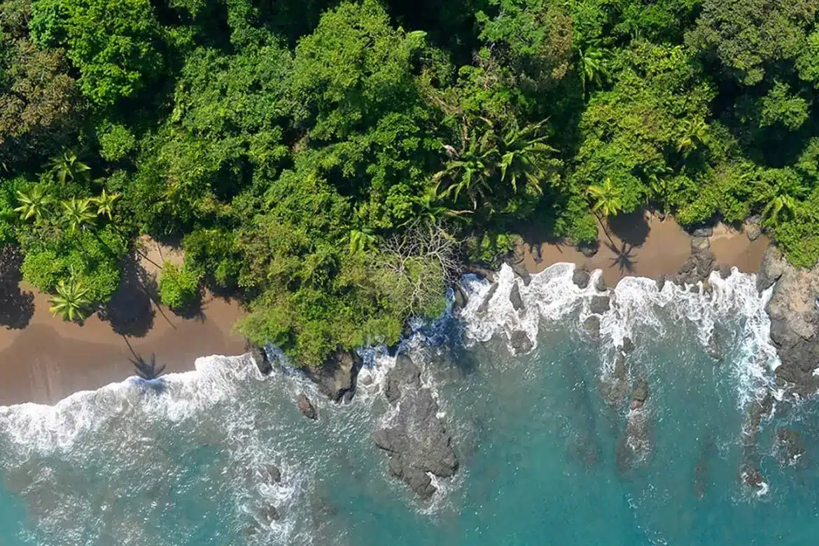 Parc Nacional de Corcovado – excursió d'un dia a l'estació Sirena des de Drake Bay