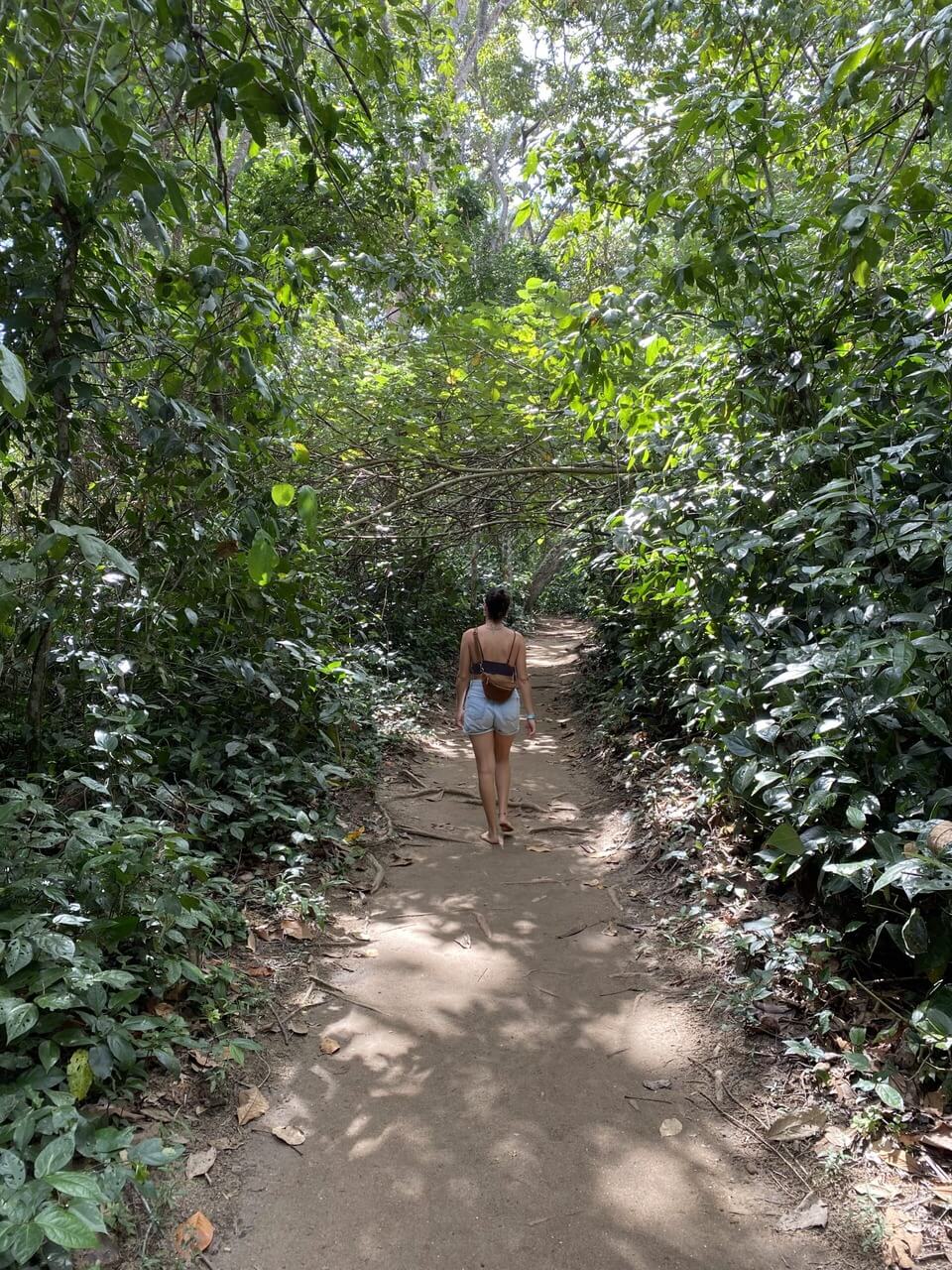 Passeig guiat per la natura al parc nacional de Cahuita