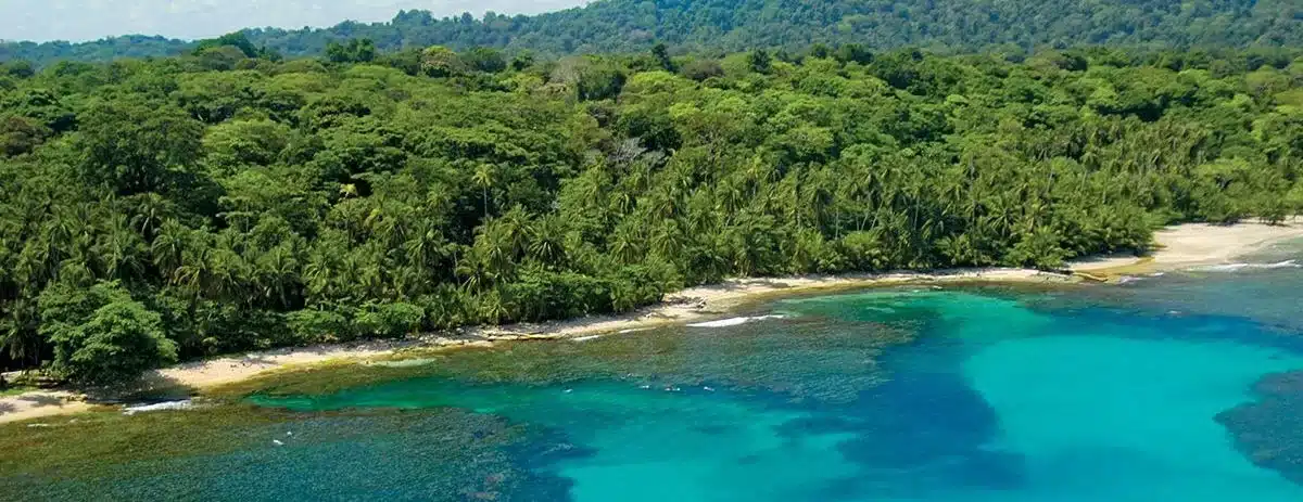 Expedición por la selva de Punta Mona hasta la finca ecológica abandonada