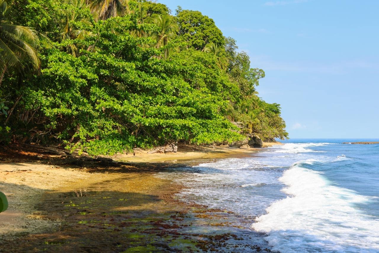 Experiencia profunda en el Refugio de Vida Silvestre de Manzanillo